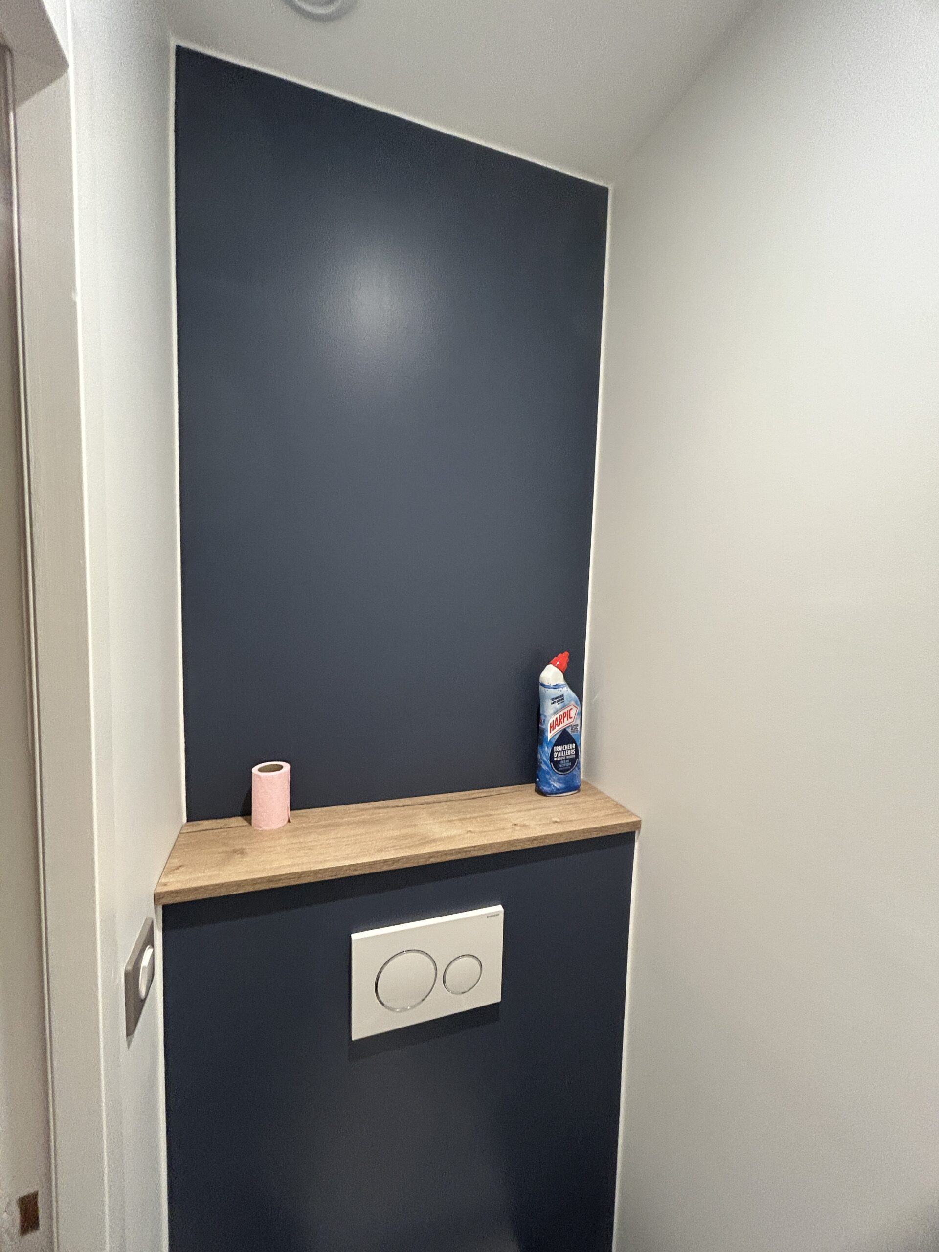 Finition Peinture Toilette Brindas